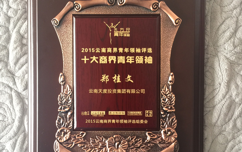 在“互联网大时代”的背景下，杏彩体育作为本土很大和很有名的互联网服务企业，为近万家传统企业转型互联网+提供了服务和帮助，获此奖项后，杏彩体育将再接再厉，创造更高的社会价值